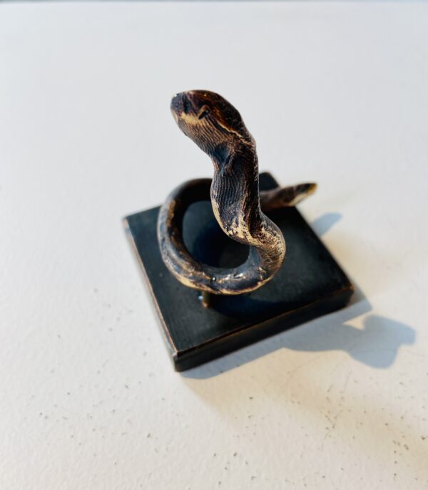 "snake in paradise" bronze